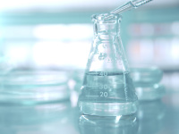 ПОЛИКВАРТЕНИУМЫ