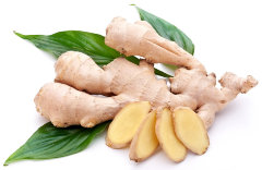 СО2 экстракт Имбиря водорастворимый