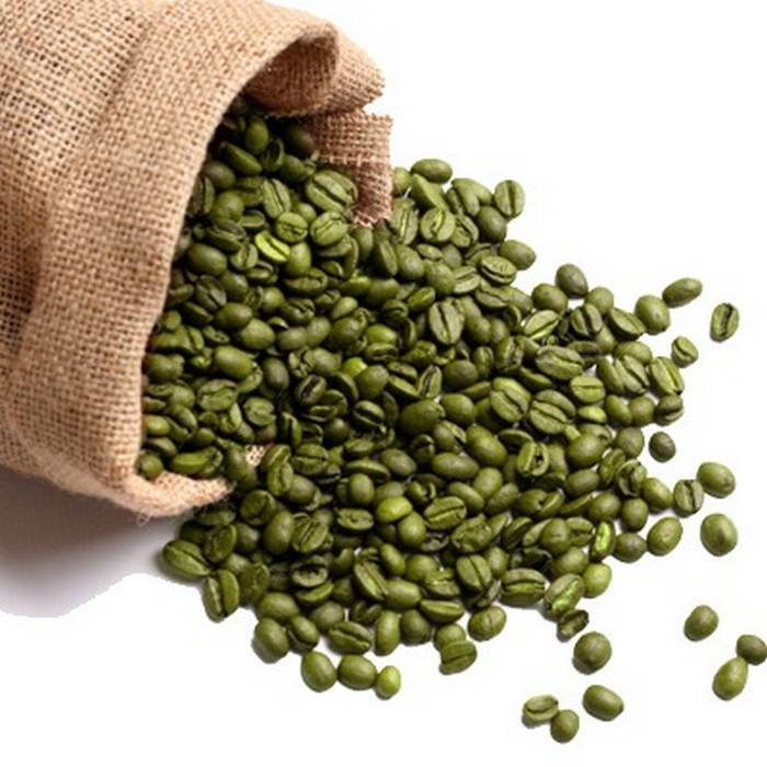 Экстракт Зеленого Кофе сухой (хлорогеновая кислота 20%) 