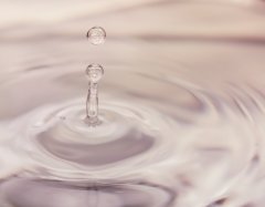 Liquid Germal Plus / Ликвид Гермаль Плюс консервант