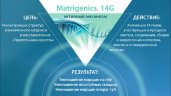 Matrigenics 14 G / Матридженикс  
