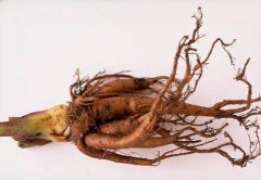 Сухой экстракт корня Ревеня (5:1)