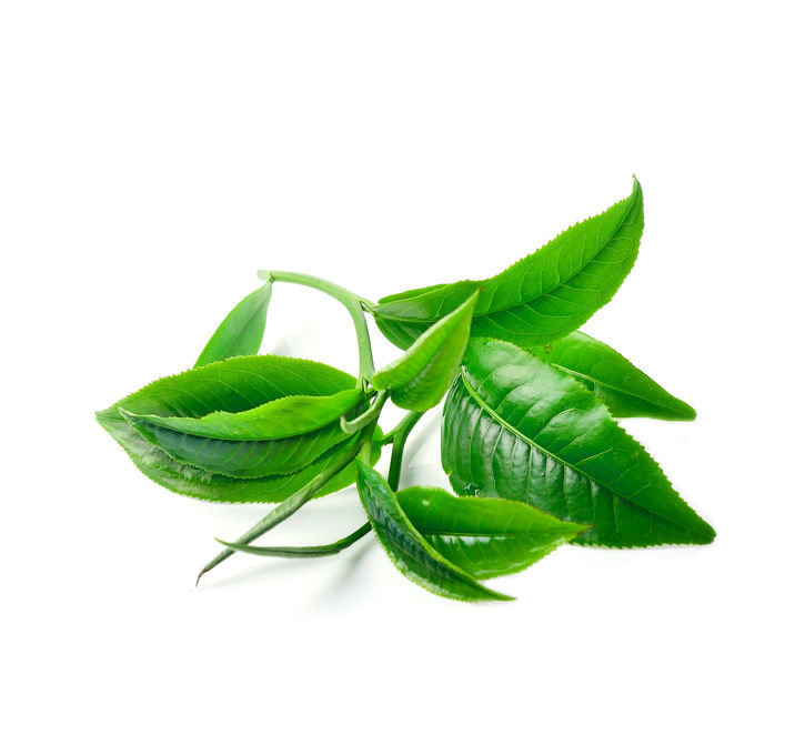 Водно-глицериновый экстракт Зеленого Чая 
