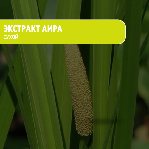 Сухой экстракт аира для волос и кожи головы