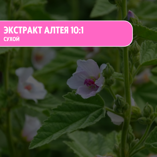 Экстракт алтея сухой 10:1