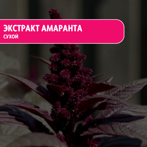 Экстракт амаранта сухой