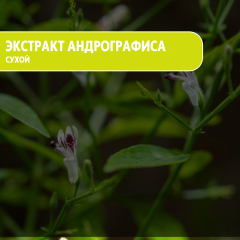 Экстракт Андрографиса сухой