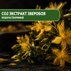 CO2 экстракт Зверобоя водорастворимый