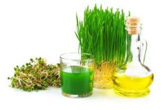 Масло зародышей пшеницы нерафинированное
