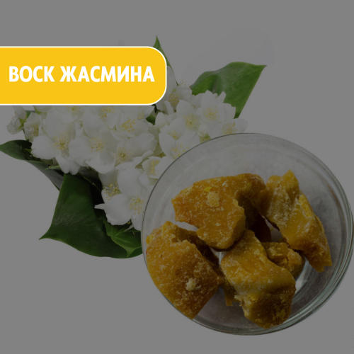 Воск жасмина (Jasmine Wax)
