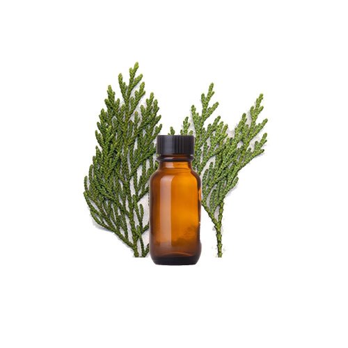 Эфирное масло Кипариса