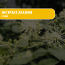 Экстракт Аралии сухой