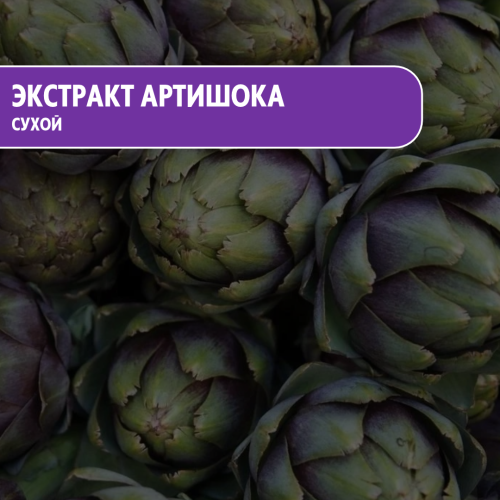 Сухой экстракт артишока 5:1
